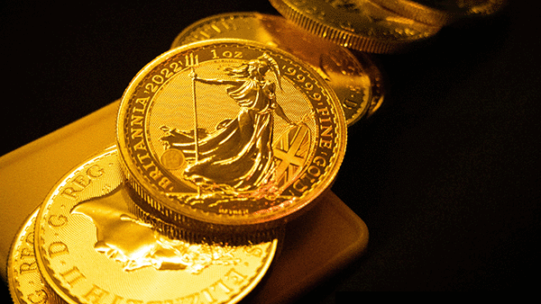 Gold Coin Investment